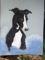 /album/galerie-photos/copie-de-photo-704-jpg/